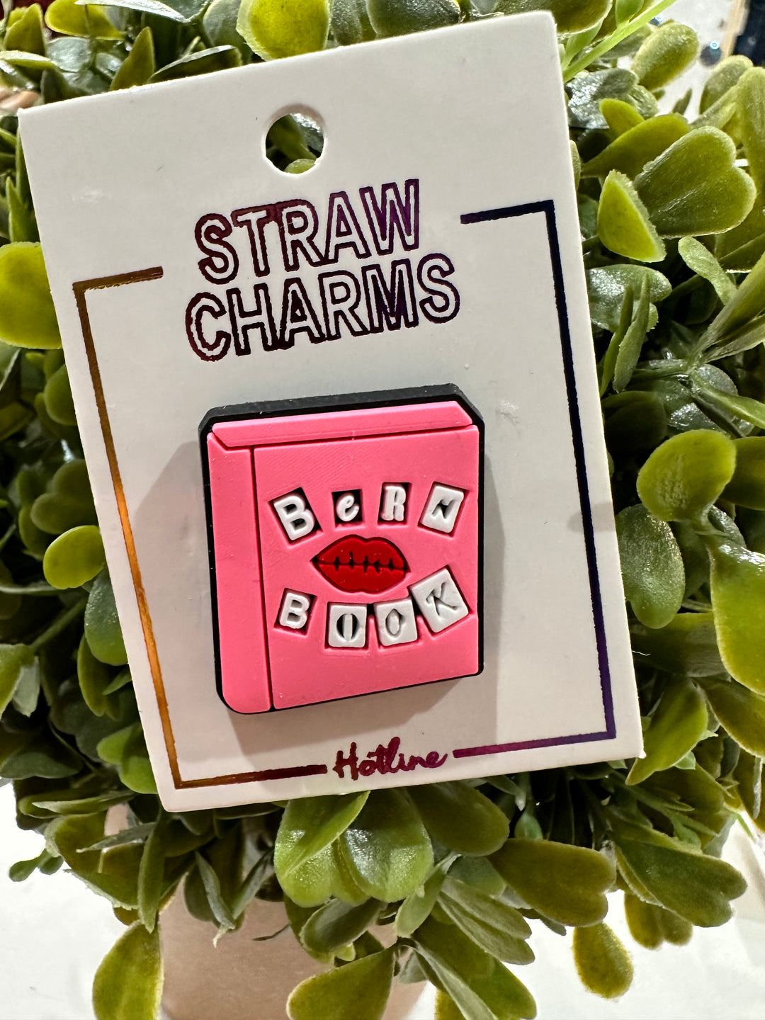 Straw Charm - Bern Book