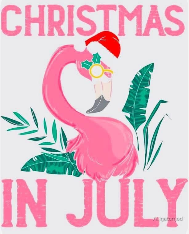 CHRISTMAS IN JULY USE CODE JULY