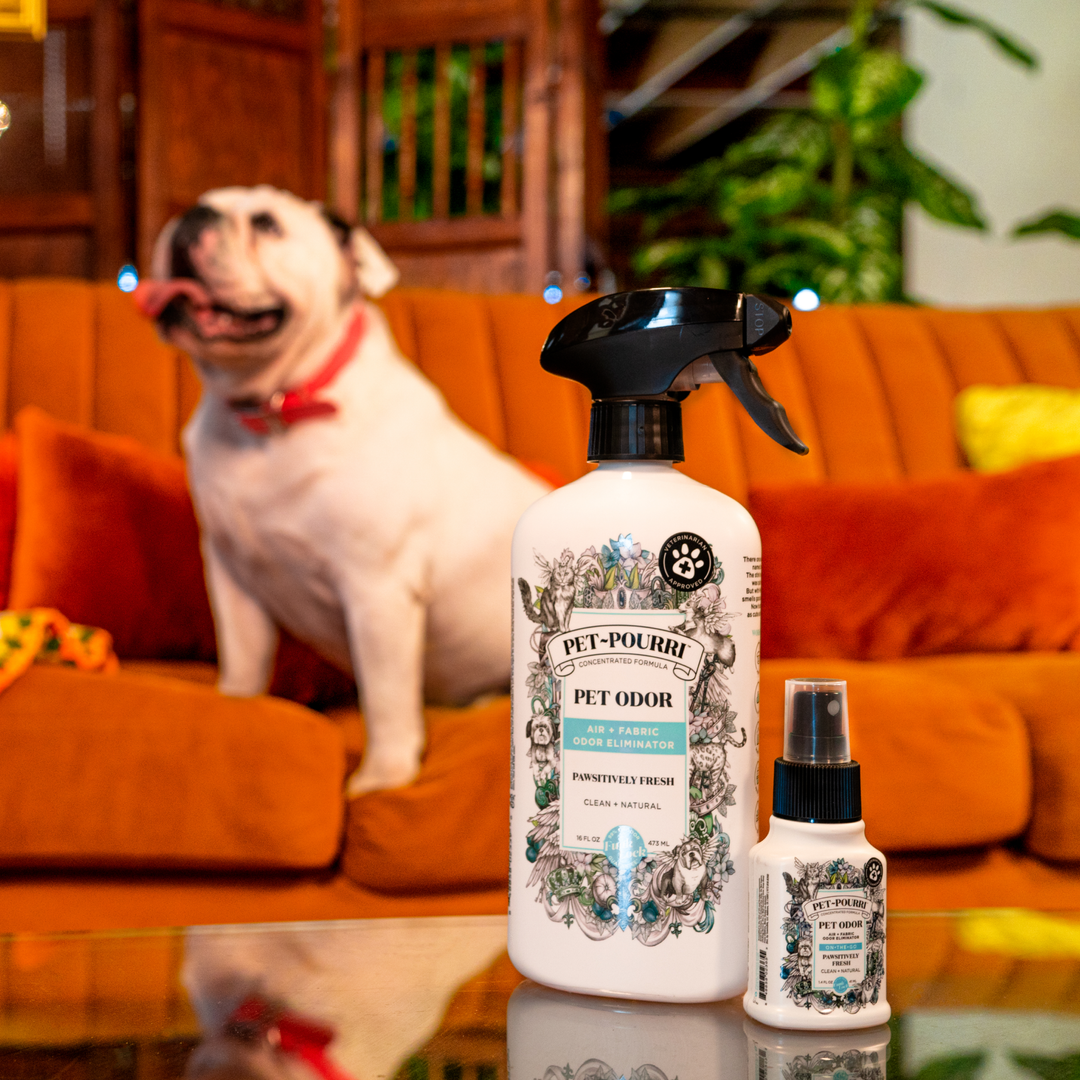 Pet~Pourri Pawsitively Fresh Air+Fabric Odor Refresher 1.4oz